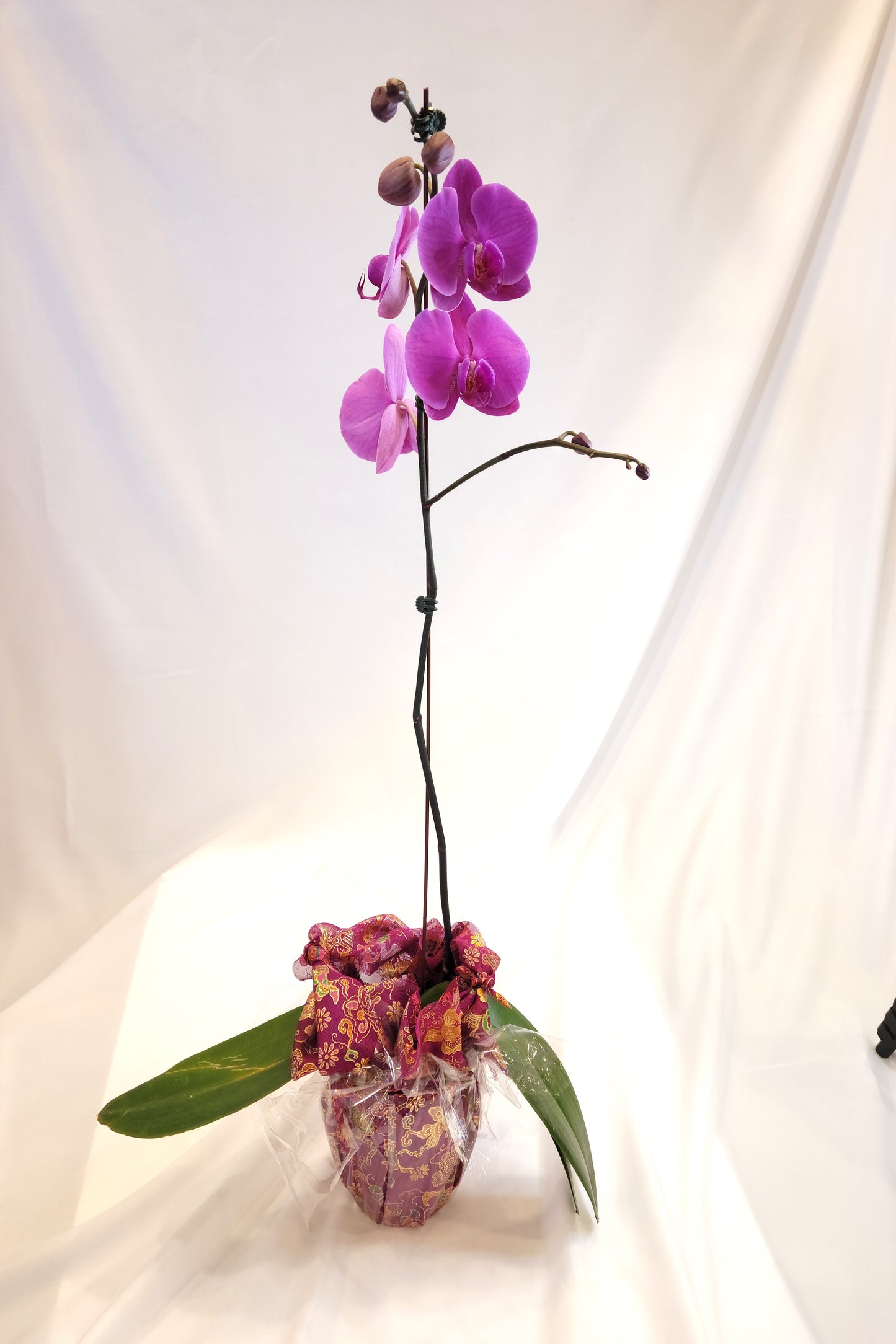 Orchid with Vase Bojagi Wrapping