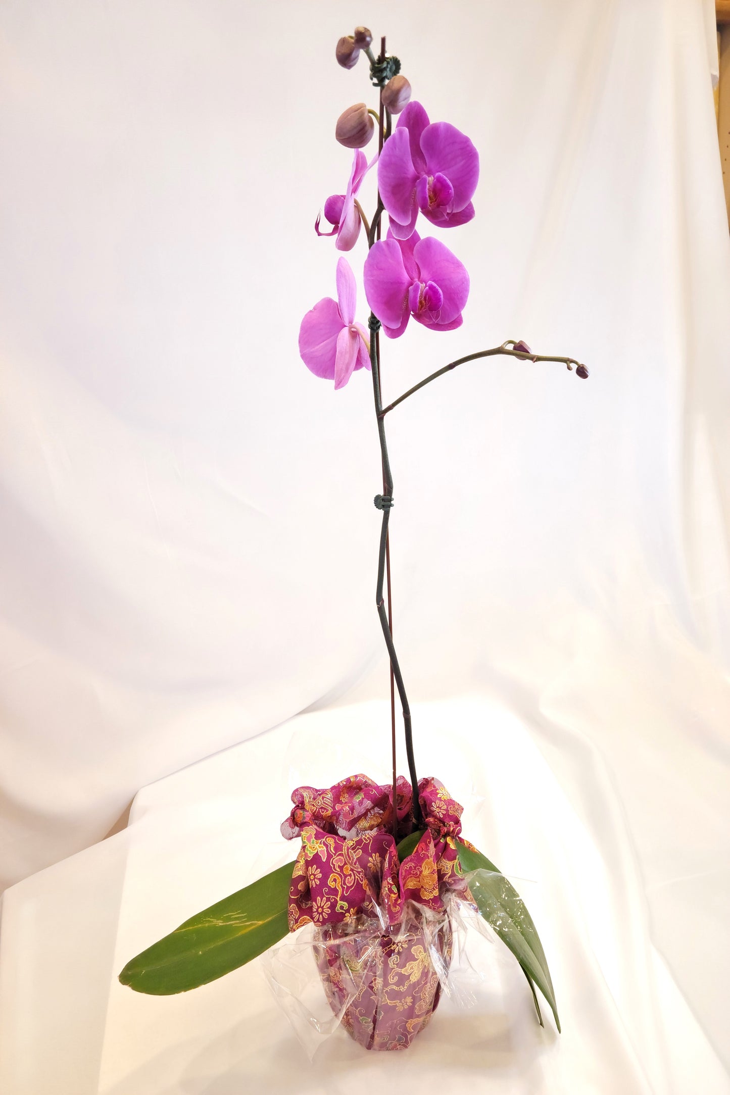 Orchid with Vase Bojagi Wrapping