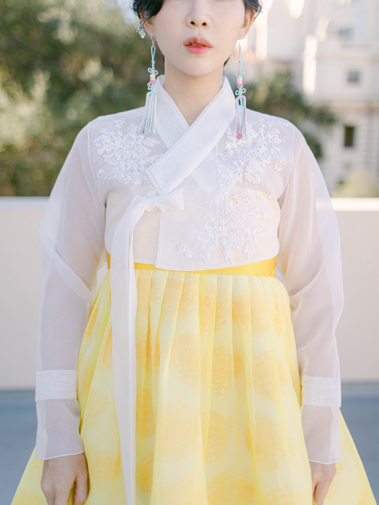 Chima best sale jeogori dress